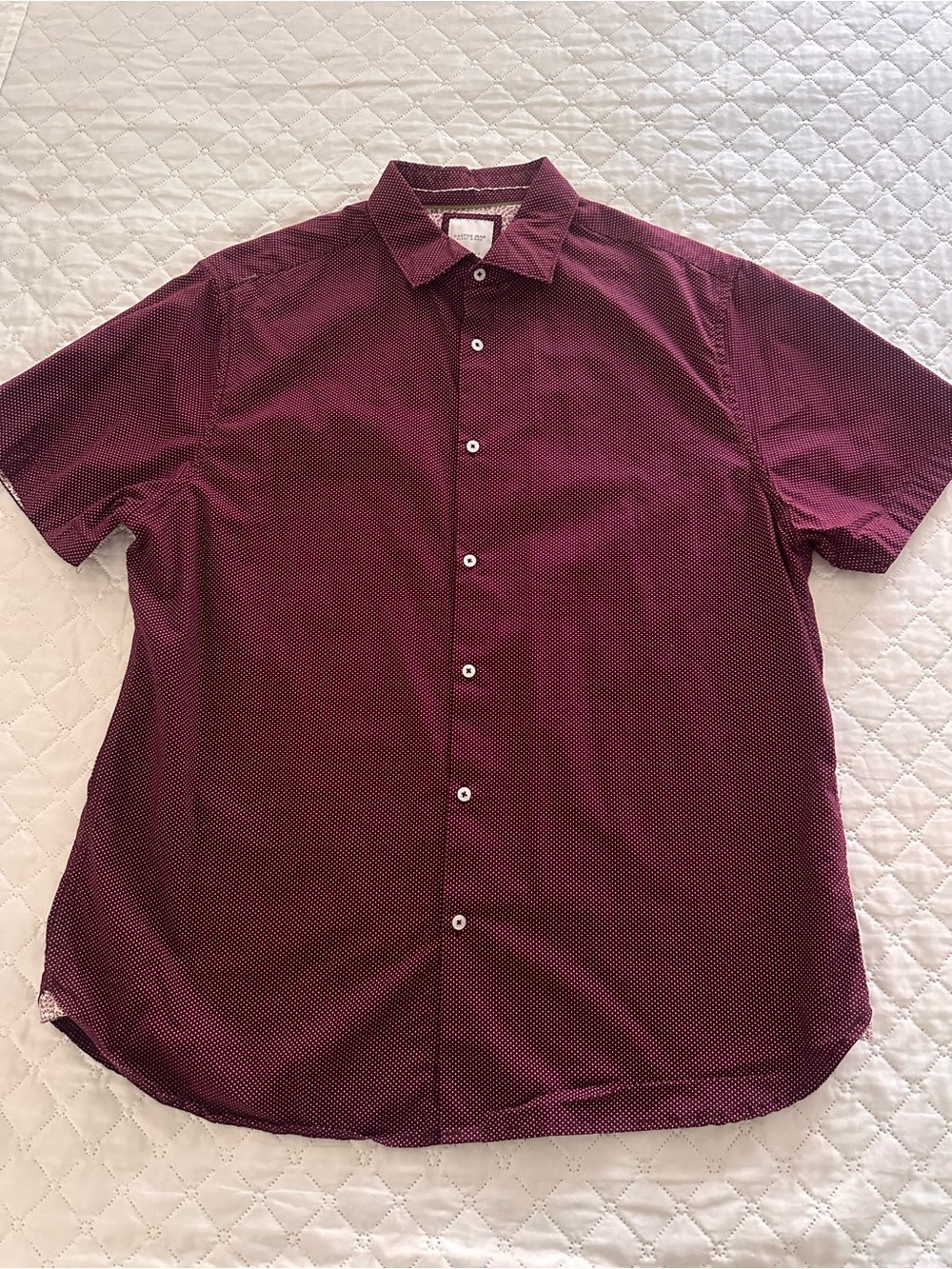 Cactus Men's Short-Sleeve Button-Down Shirt in Burgundy with Microdot